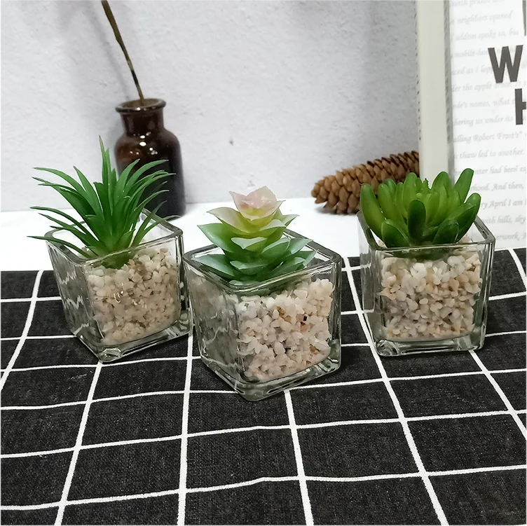 Small Glass Cube artificial succulent mini potted succulent faux plant set