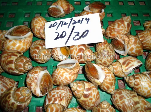 Замороженная крышка (BAIGAI)