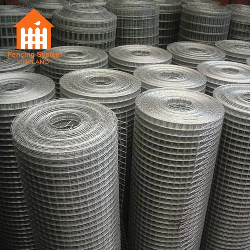 Stainless Steel Bird Cage Welded Wire Mesh Roll