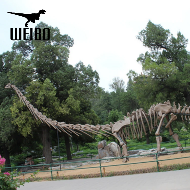 Музей искусственный моделирования в натуральную величину Окаменелости Динозавров Скелет