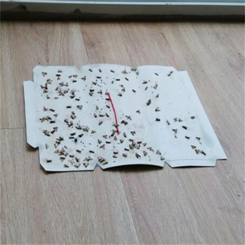 Indian meal moth traps Pantry Moth Traps Pre-baited With Pheromone Attractant