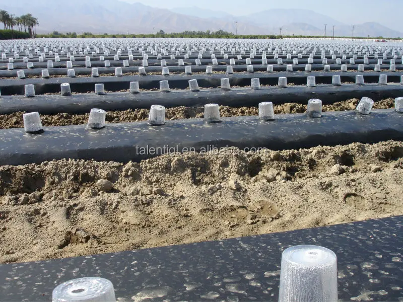 
PE high quality biodegradable agricultural mulch film with hole 