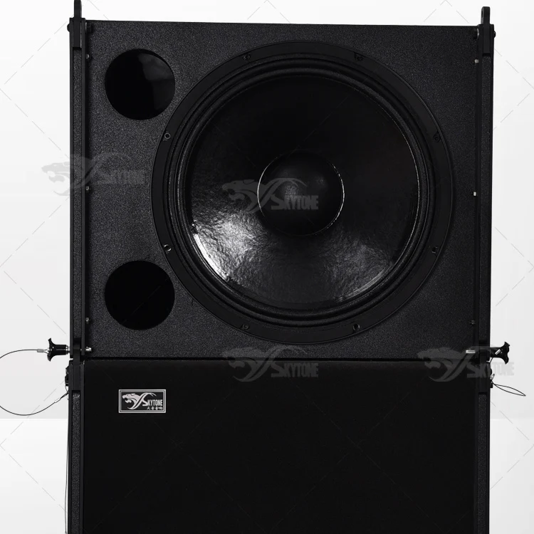 VERA12 Line Array Professional Hi Fi Speaker Sound Box