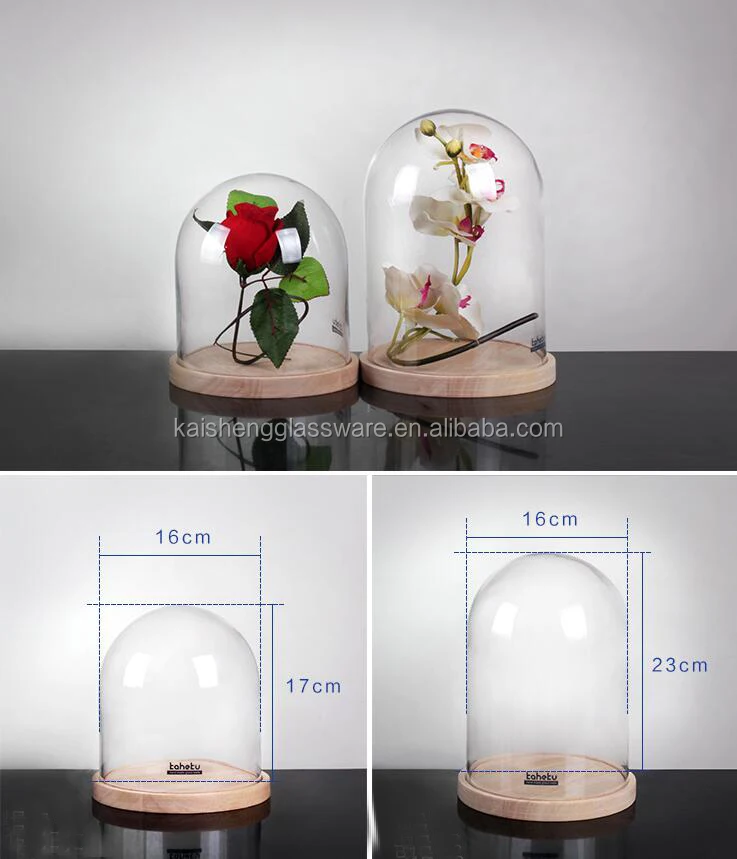 Home decoration clear glass bell jar with base wooden