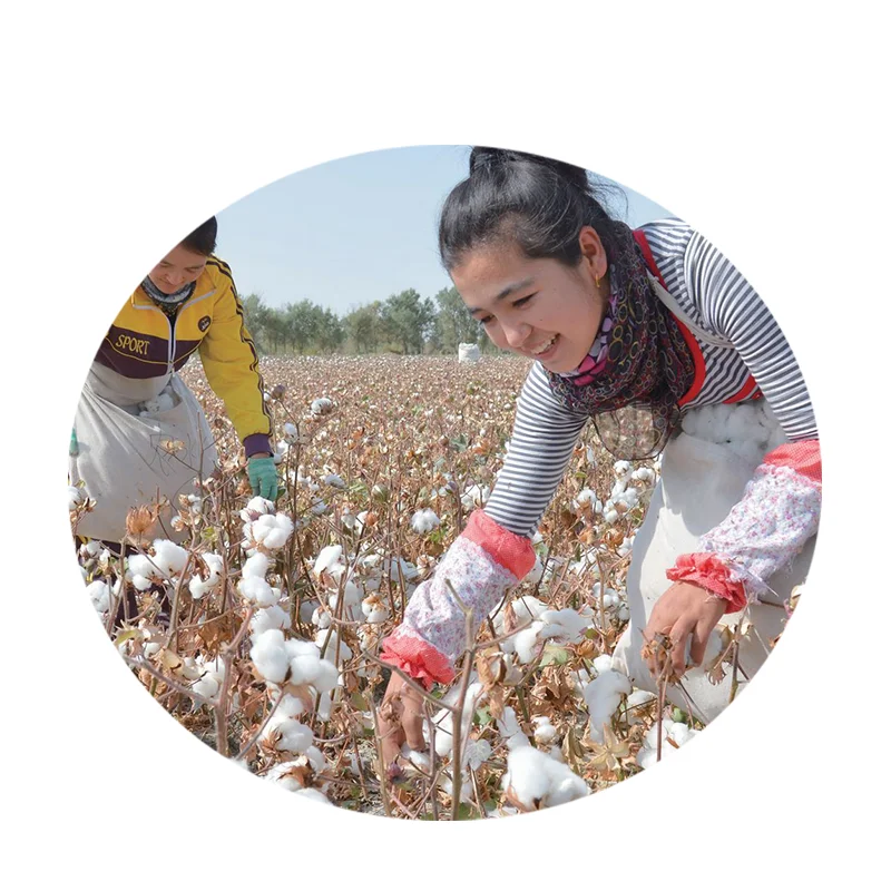 Целлюлозный эфир высокой вязкости и хлопковая целлюлозная целлюлоза