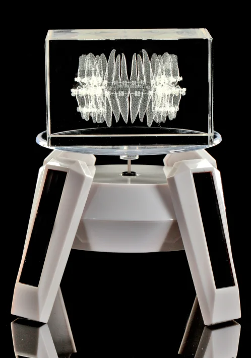 3D laser engraved  crystal orthodontics teeth block for decors and gifts