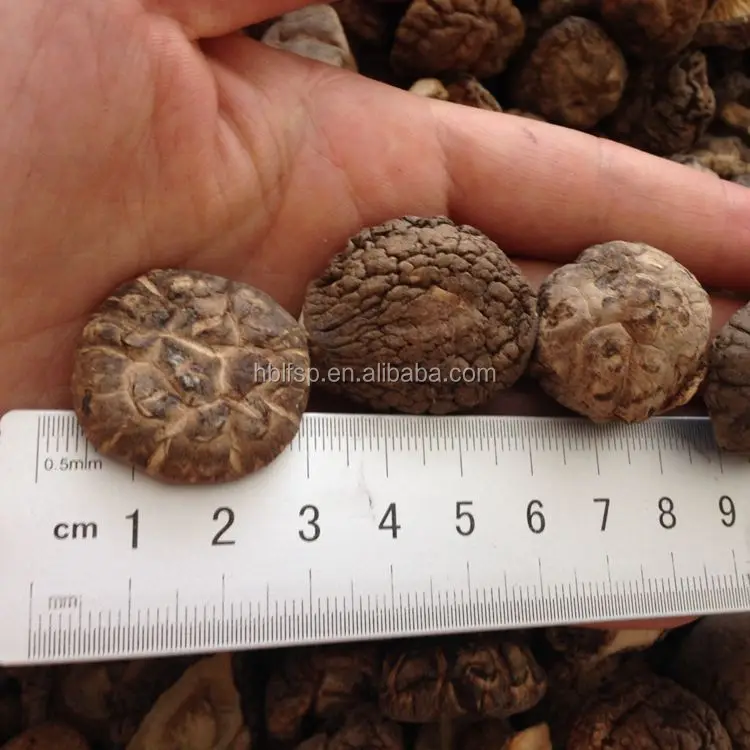 Браун Сухое Цельное Шиитаке 3KGS с Cap2-3 СМ, Стебель within1CM