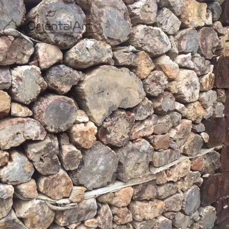 petrified wood countertops