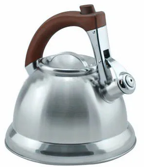 Чайник из нержавеющей стали, 3 л