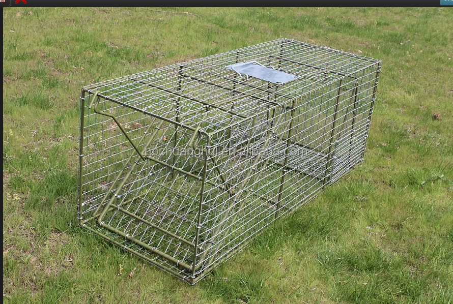 Professional Pest Control Factory Humane Large Live Animal Wild Animal Trap