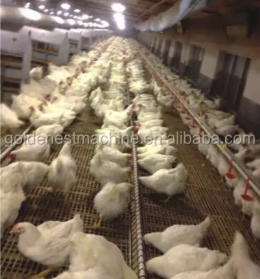 Goldenest poultry chain feeding system plastic scraper open feed trough for breeder layer equipment supplies