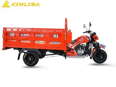 hot pickup 3 wheel closed cabin cargo tricycle large loading china