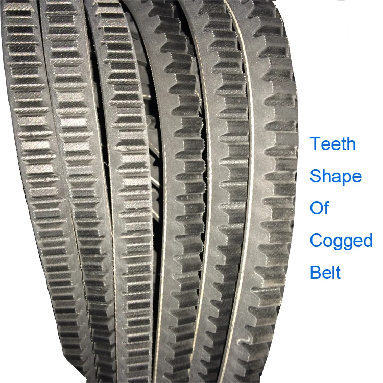 FMX/AX/BX/CX/ AVX10/AVX13/AVX17 Raw Edge Cogged v belt