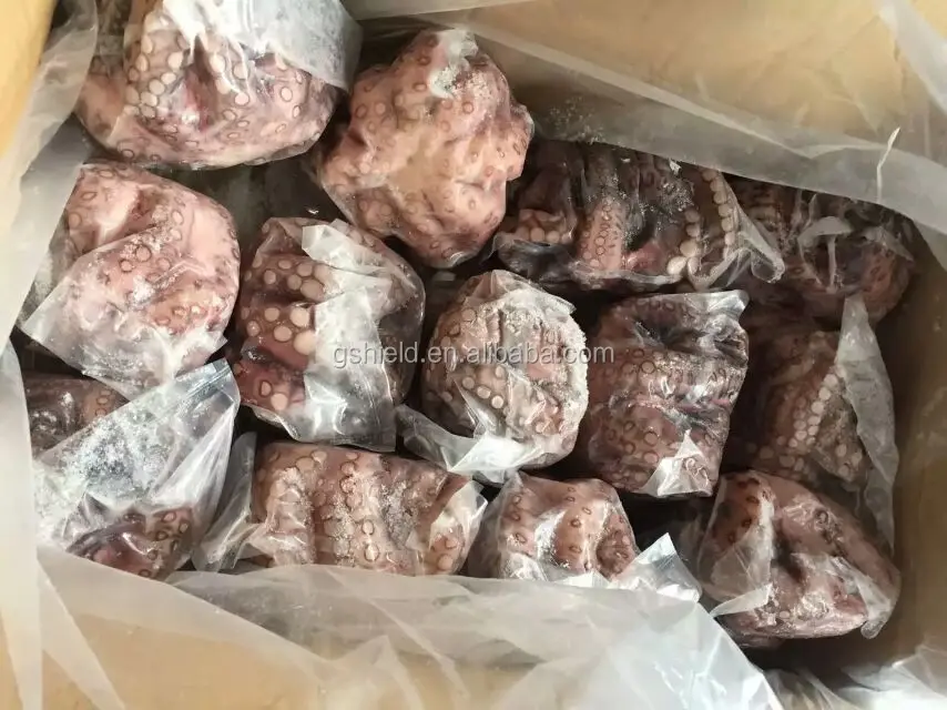 
IQF cheap price size 20-60g/pcs Frozen baby octopus. 
