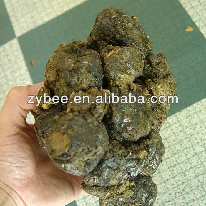 
Raw Material Propolis for Health food 