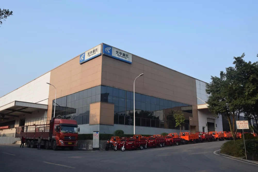 250cc double rear wheel hydraulic lifter motor lifan tricycle for Togo market