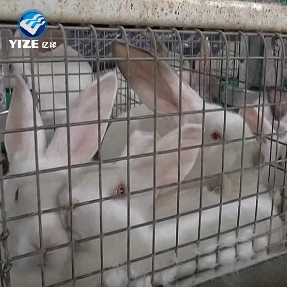 Hot sale easy operating rabbit cage,commercial rabbit farm cage,breeding cage for rabbit farm
