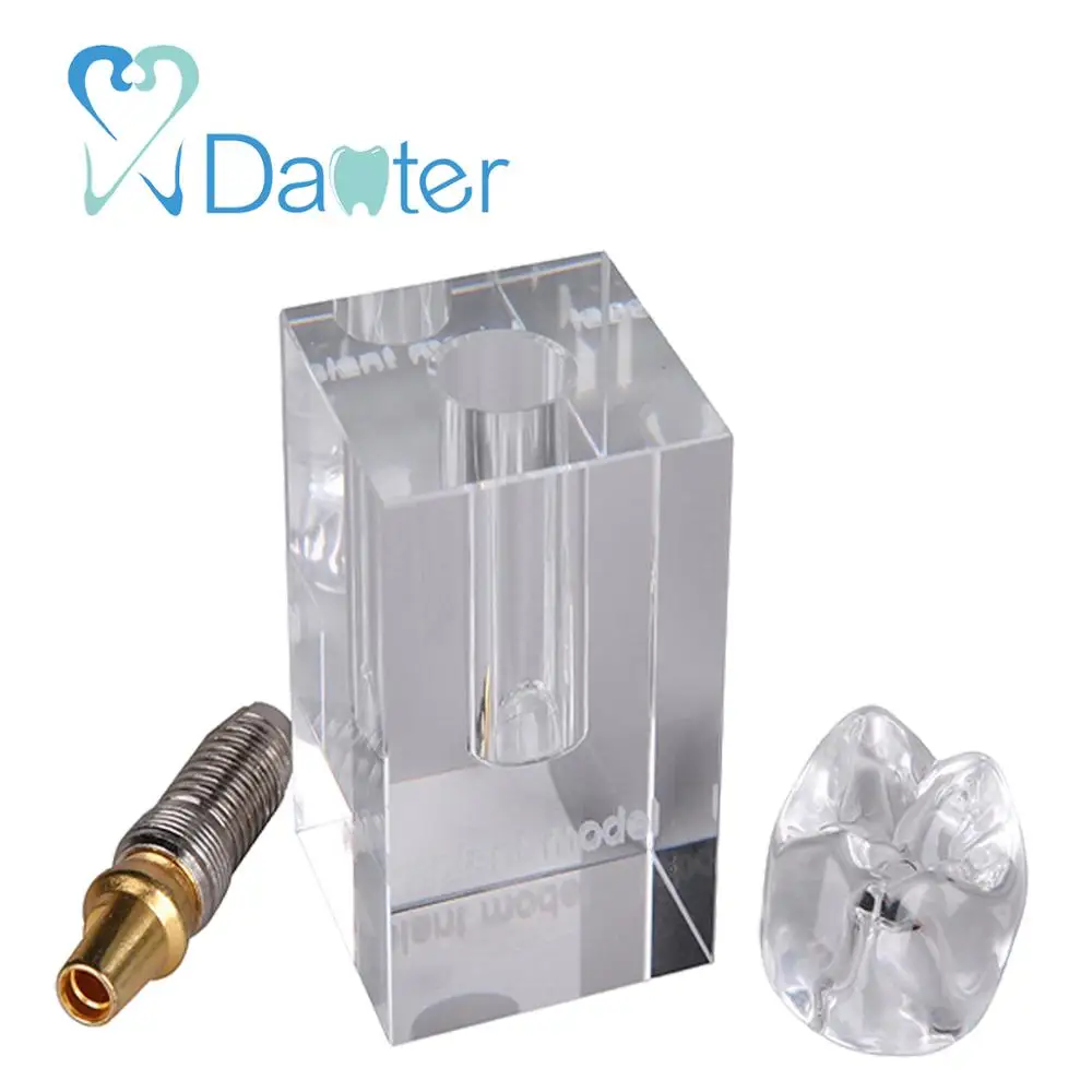 Top Seller Crystal Implant Removable Teeth Model Dental Implant Model for Demonstration