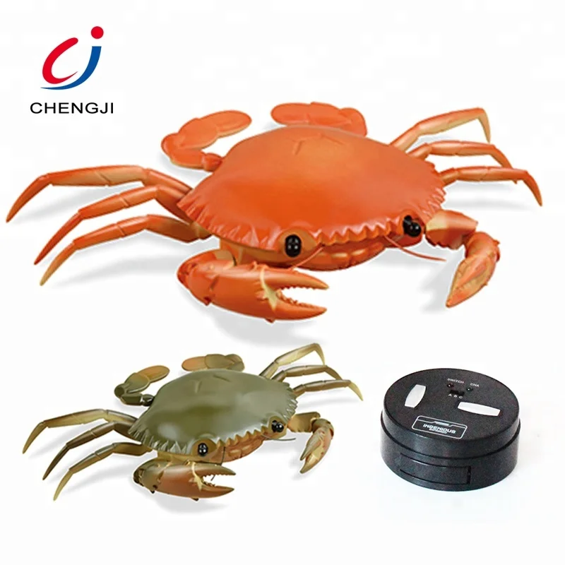 Novelty Children Plastic Battery Sea Animal Model Rc Crab Toy