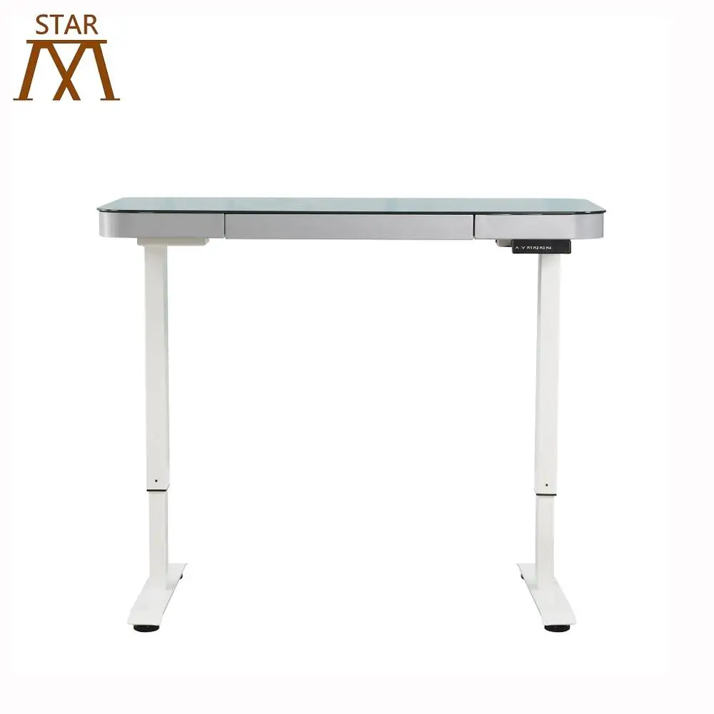 
Germany Dual Motors Intelligent Electric Height Adjustable Standing Desk Two Segments Lifting Column 