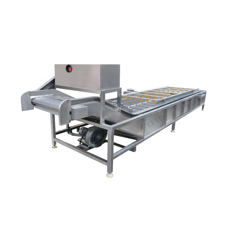 Машина для мытья и сортировки фруктов включает апельсиновые фрукты