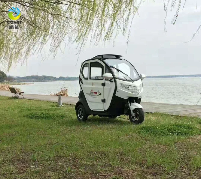 
Cheap Price For the Disabled Electric Rickshaws For Sale Usa and three wheel scooter electric motorcycle 