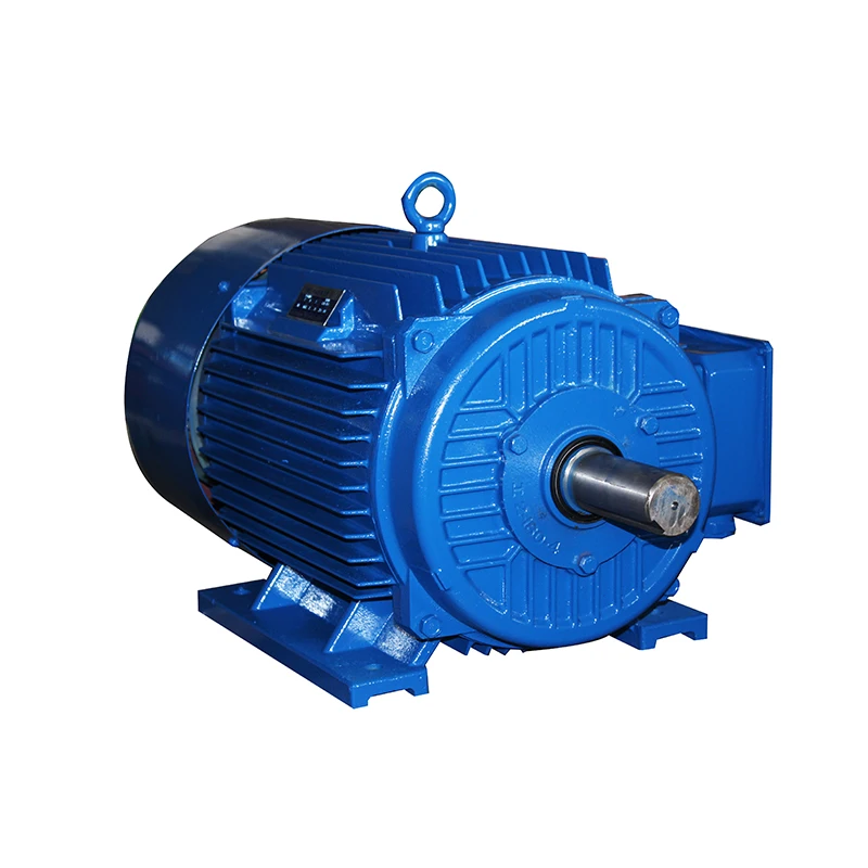 
Directory Y Series 380V 50HZ AC Induction Electric Motor 