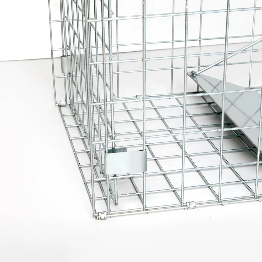 Professional One Door Racoon Trap  Large Live Animal Trap