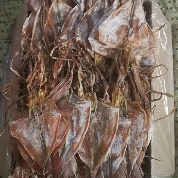 dried salted squids