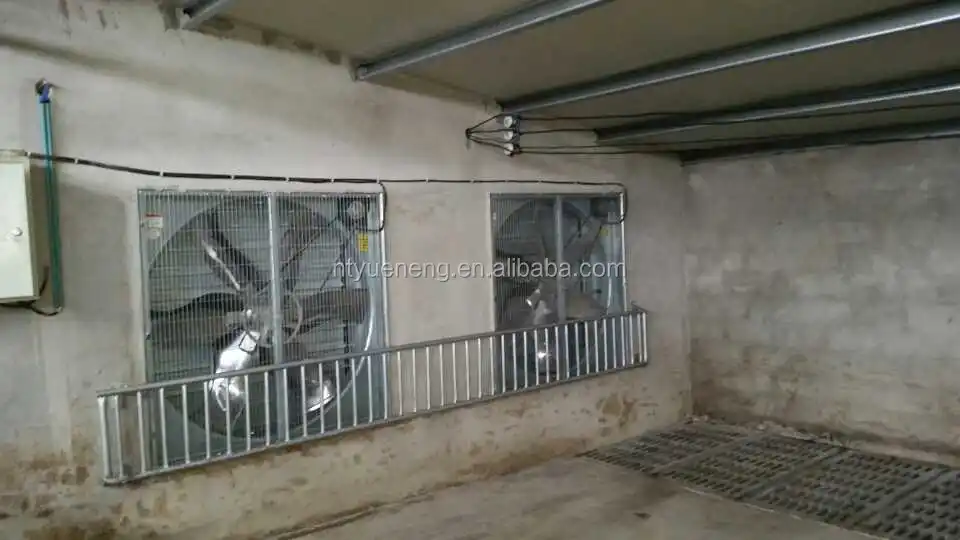 poultry farm cattle farms chicken house ventilation industrial ventilation exhaust fan