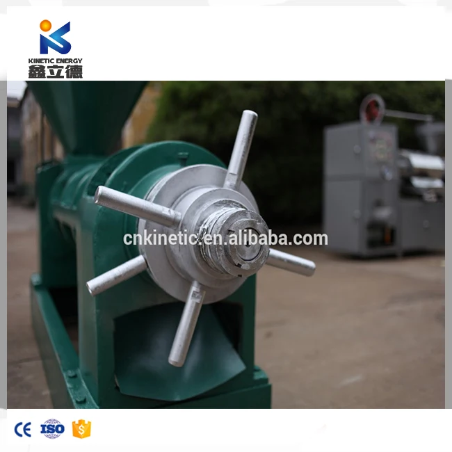 Commerical small business 6YL oil press machine small scale screw oil presser