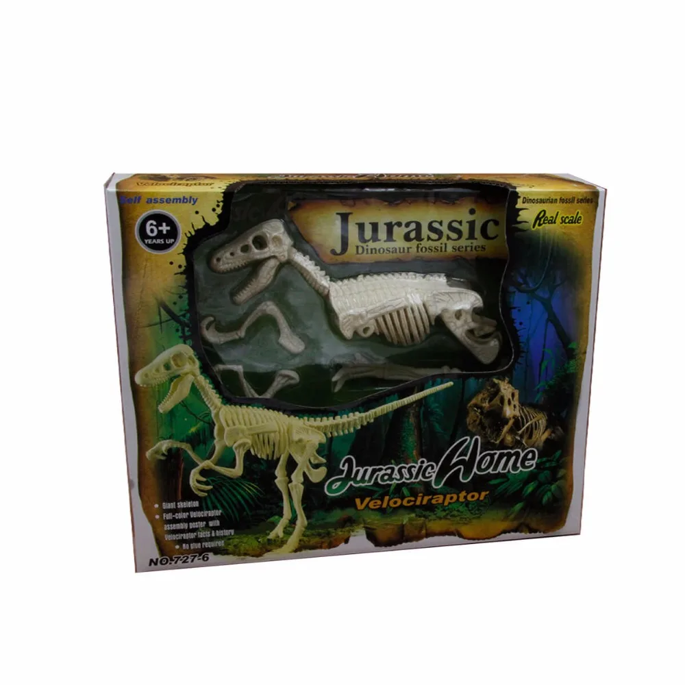 Chinese Manufacturer 3D Dinosaur Skeleton Fossil for Sale