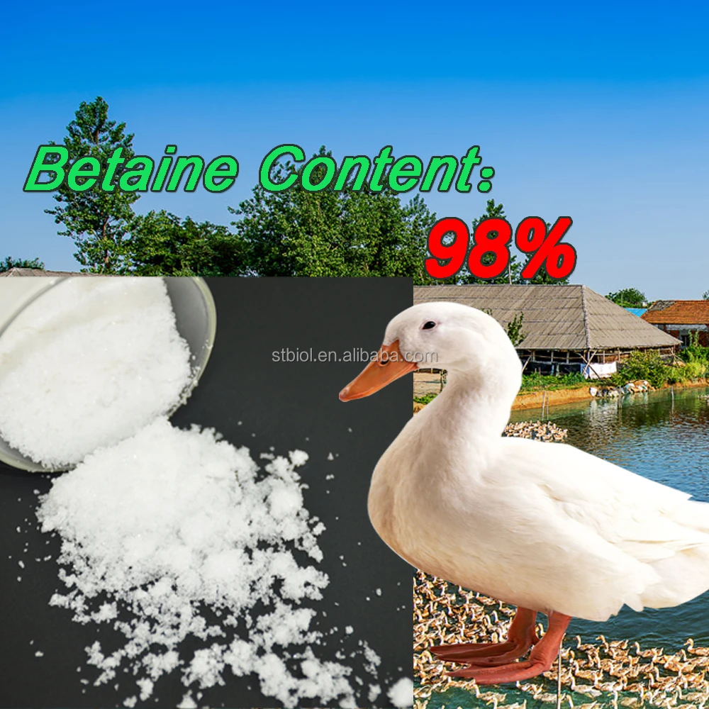 Пищевые Добавки Корма Для Животных корма класса животных кормовые добавки бетаин hcl