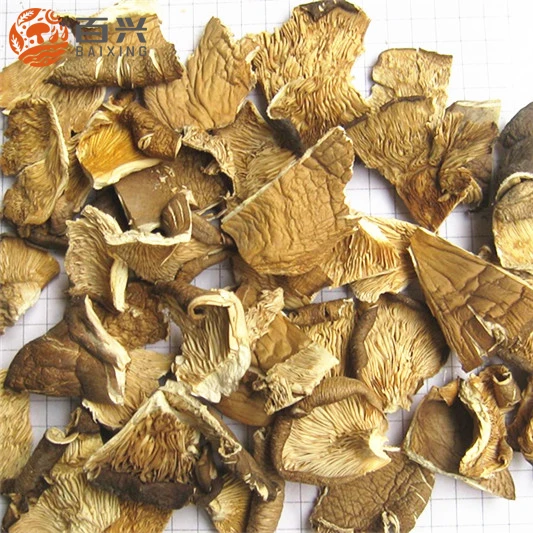
Export dry oyster mushroom price 