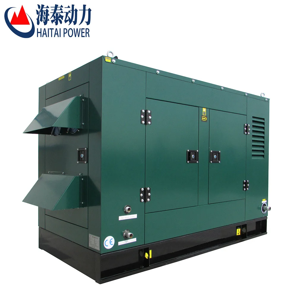 Small biogas generator 10kva-30kva mini household biogas plant
