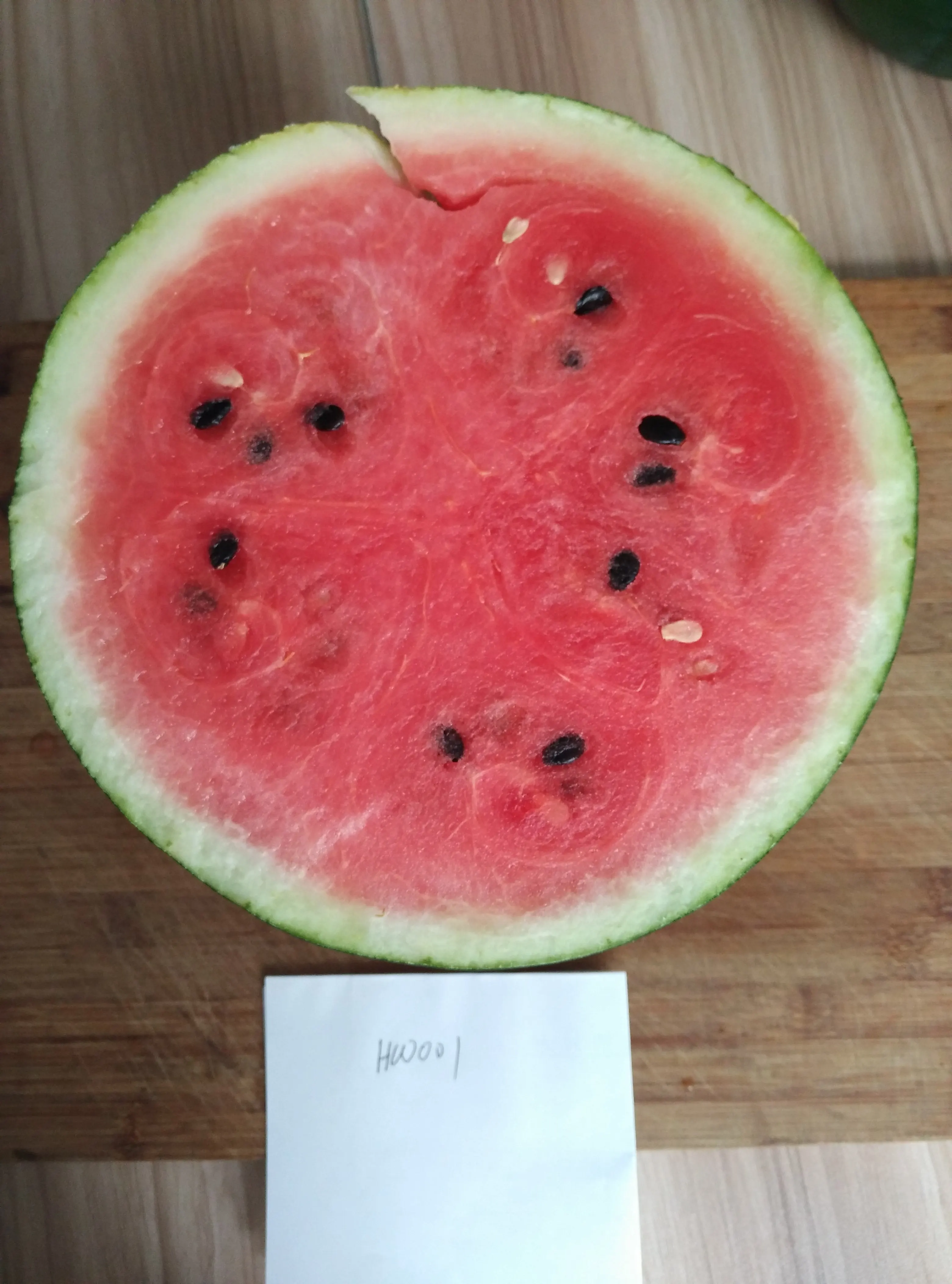 
Suntoday vegetable hybrid F1 hybrid lord black watermelon seeds sudan 1kg/bag 