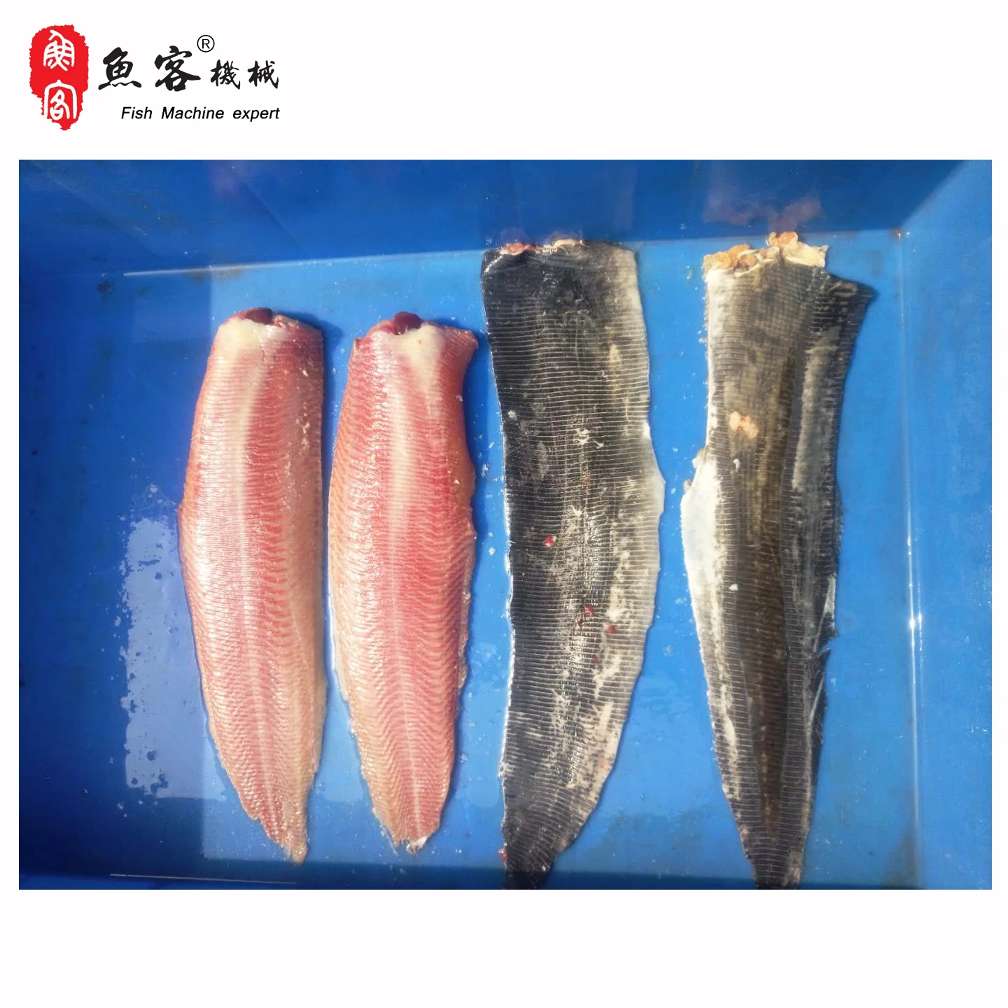 Fish Skin Remove Machine Salmon Skinner for Food Processing Professional Fish Peeling Machine
