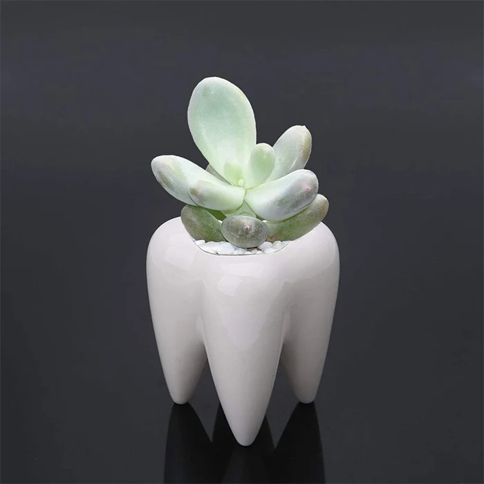 Ceramic Succulent Plant Pots with Tooth Shape