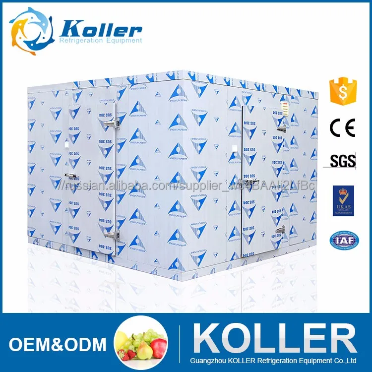 Горячие продажи Холодной комнате ходить в морозильник) для фруктов/рыба/мясо/цветок