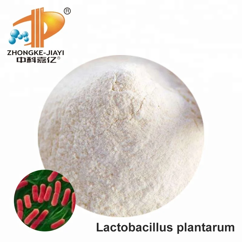 
Probiotics Bacillus Lactobacillus Casei powdered Healthcare Supplements 