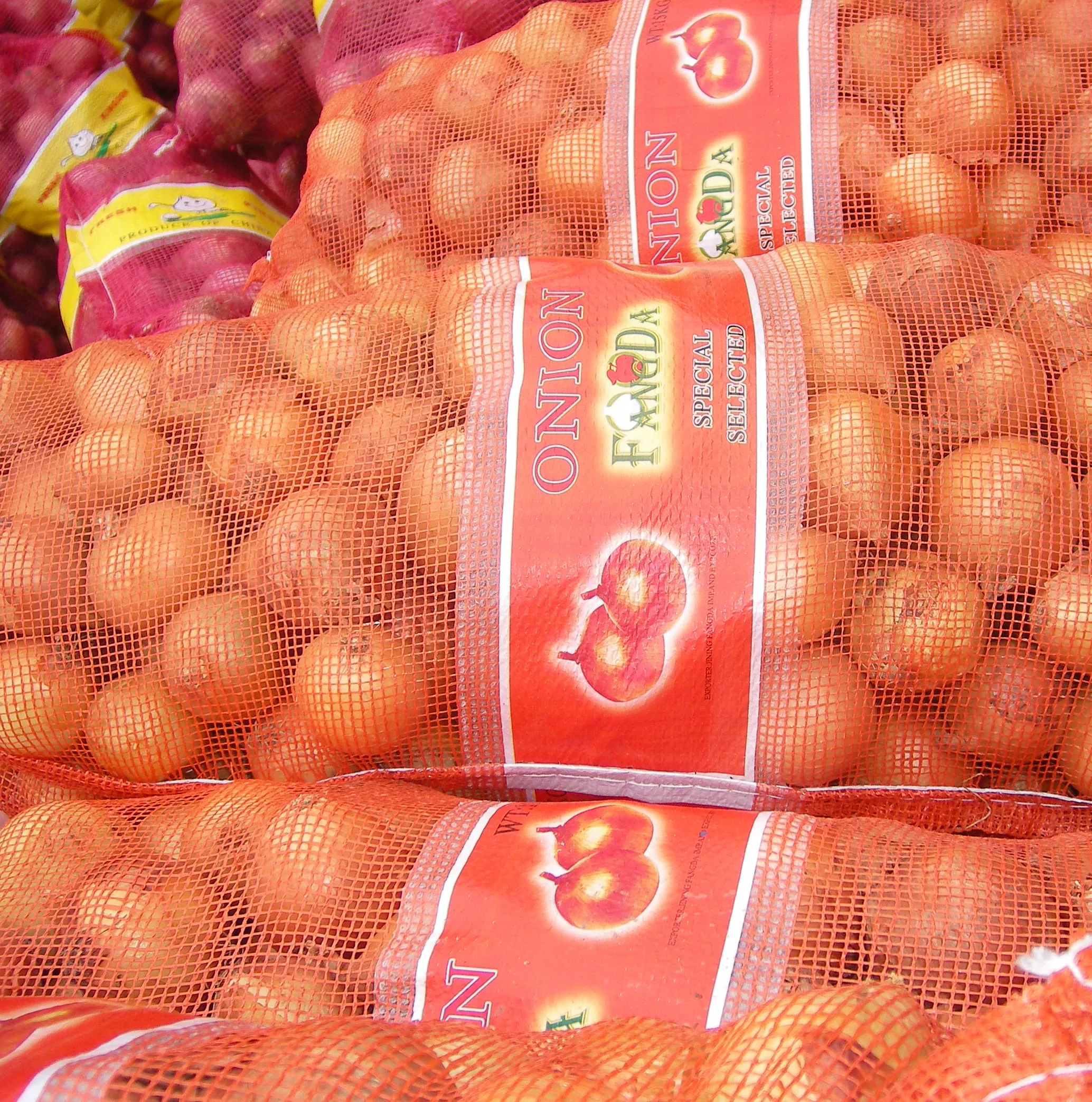 Yellow Gansu onion/5-7cm/6-9cm