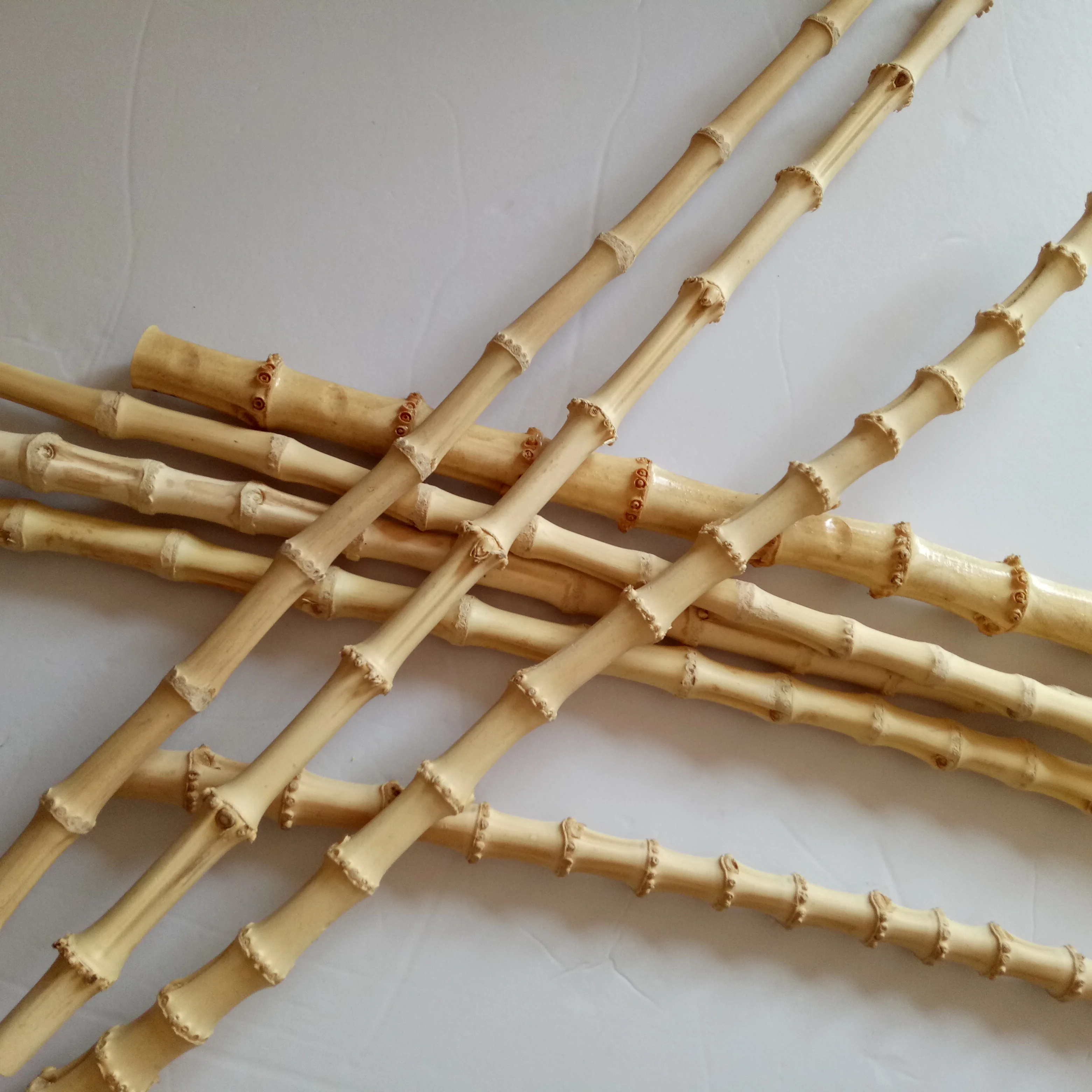 FD-171121natural bamboo root, bamboo root cane, bamboo rhizome for bag handle