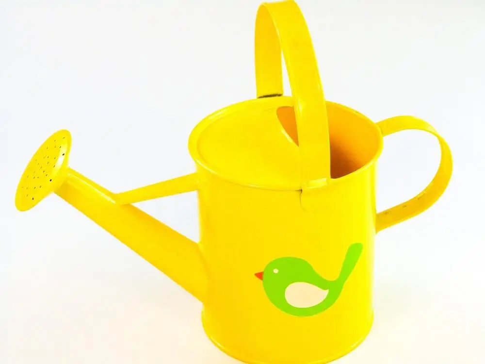 Wonderful Classic Polka Dot Metal Watering Can