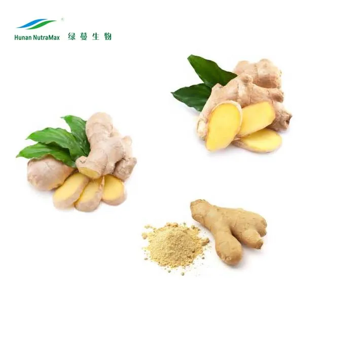 
Essential Oil Ginger CO2 Extract Solvent extraction ginger oleoresin 