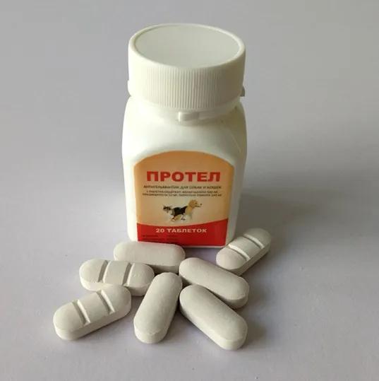 
against worms fenbendazole praziquantel tablets 