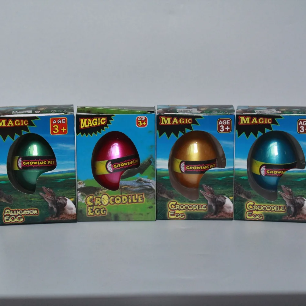 Hot Sale Factory Supply Hatching Crocodile Egg