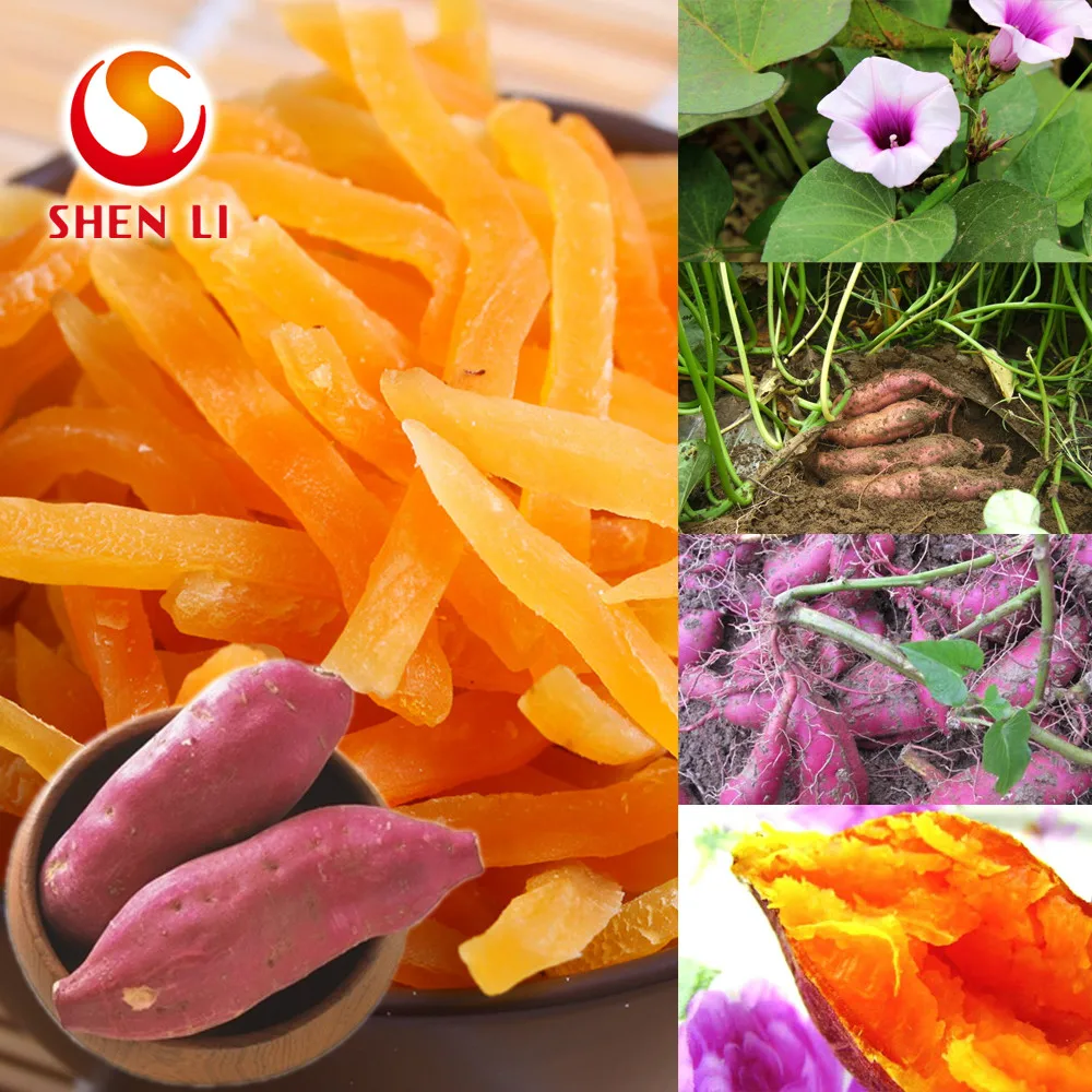 Sweet Potatoes Snacks Ready to Eat healthy food