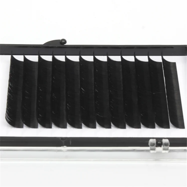 The Rapid Volume Quick Easy Fan Lashes Eyelash Extensions