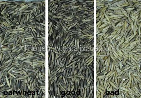 Latest Design Ccd Quinoa Camera Coriander Colour Cashew/raisin/seeds Machine  Seeds Color Sorter