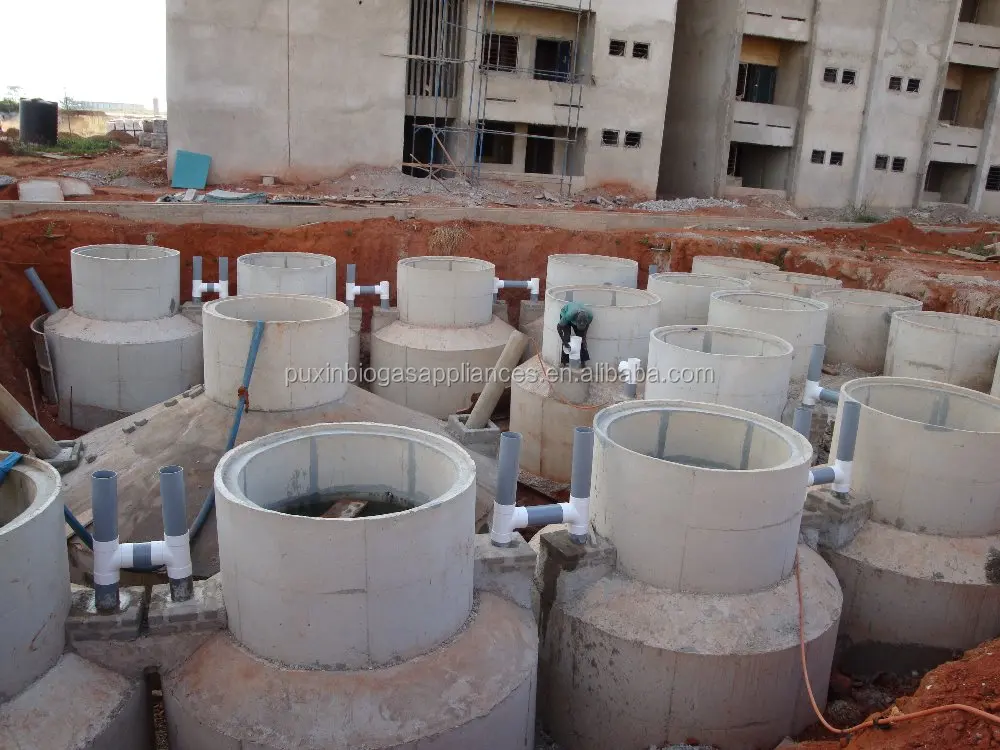 Китайская небольшая Биогазовая установка Puxin для небольших ферм для производства электроэнергии